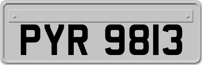 PYR9813