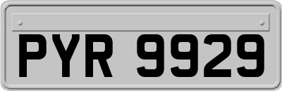 PYR9929