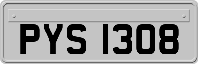 PYS1308