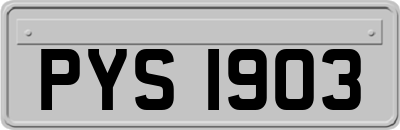 PYS1903