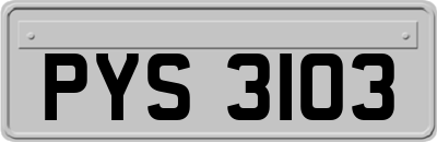 PYS3103