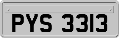 PYS3313