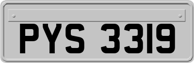 PYS3319