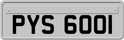 PYS6001