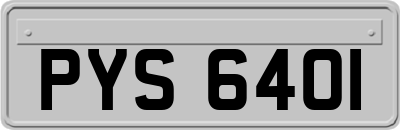 PYS6401