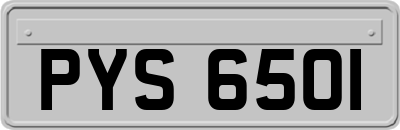 PYS6501