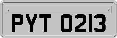 PYT0213