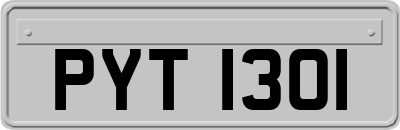 PYT1301