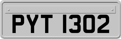 PYT1302