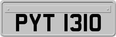 PYT1310