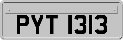 PYT1313
