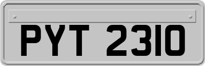 PYT2310