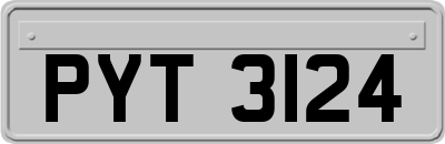 PYT3124