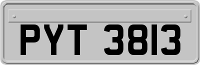 PYT3813