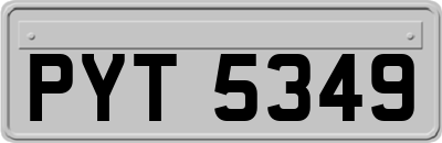 PYT5349