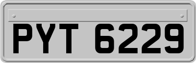 PYT6229