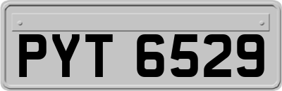 PYT6529