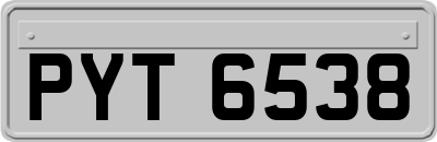 PYT6538