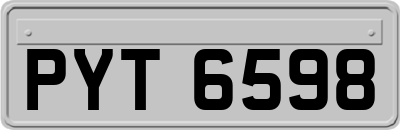 PYT6598