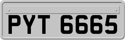 PYT6665