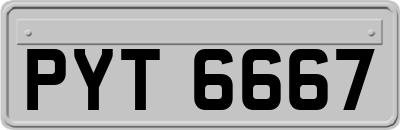 PYT6667