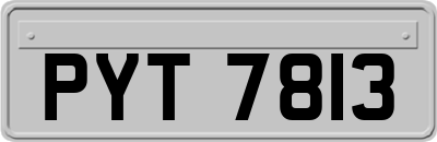 PYT7813