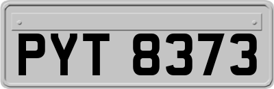 PYT8373