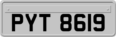 PYT8619