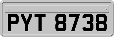 PYT8738