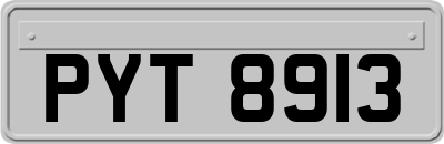 PYT8913