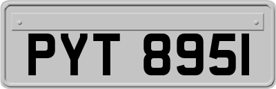 PYT8951