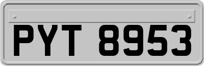 PYT8953