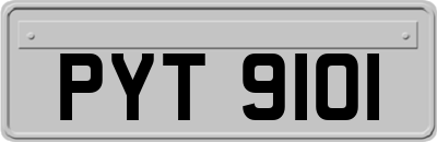 PYT9101