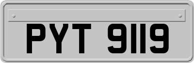 PYT9119