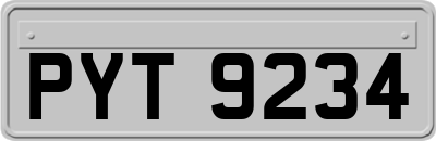 PYT9234