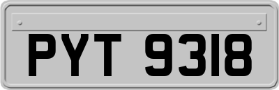 PYT9318