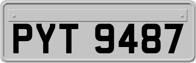 PYT9487