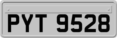 PYT9528