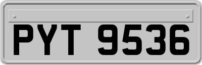 PYT9536