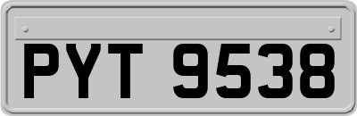 PYT9538