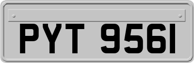 PYT9561