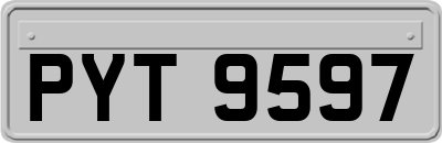 PYT9597