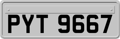 PYT9667