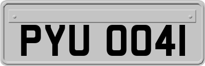 PYU0041