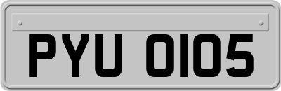 PYU0105