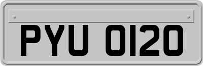 PYU0120