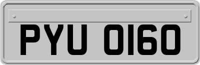 PYU0160