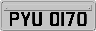 PYU0170