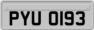 PYU0193