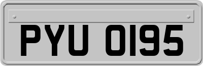 PYU0195